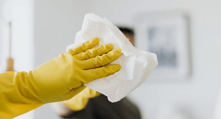 High Performance and Thrills Toyota GR Yaris for