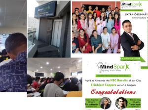 Mind Spark-Educational-Nashik