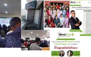 Mind Spark-Educational-Nashik
