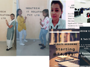 INDTECH IT SOLUTIONS PVT LTD-Services-Agra