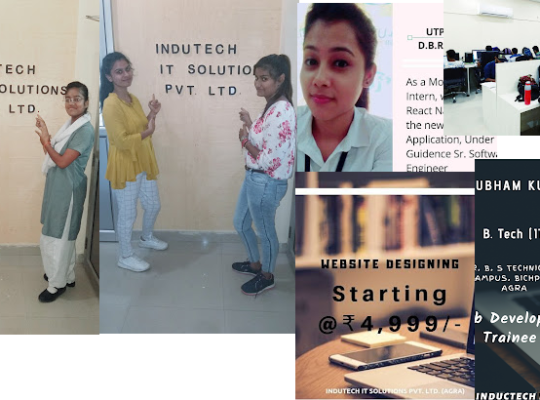 INDTECH IT SOLUTIONS PVT LTD-Services-Agra