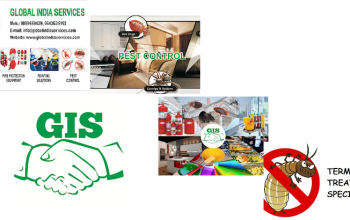 Global India Services-Home Interior-Meerut