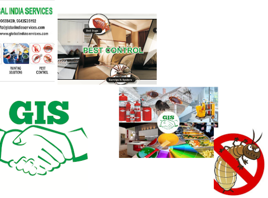 Global India Services-Home Interior-Meerut