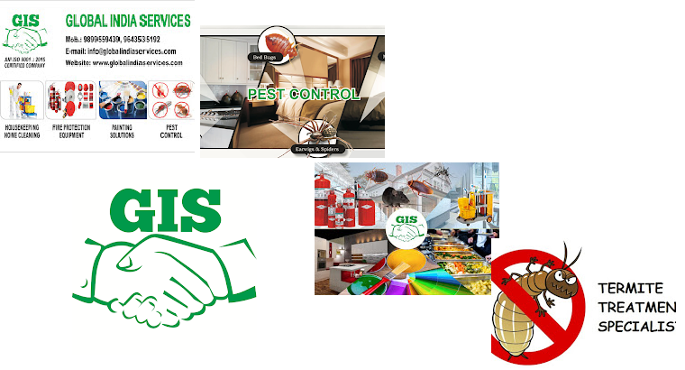 Global India Services-Home Interior-Meer...