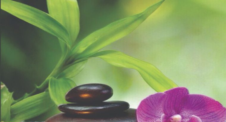 Shree Unisex Salon Hair And Makeup Studio – Beauticare