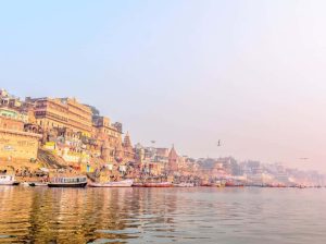 Nature Canvas Travel – Sodepur – West Bengal