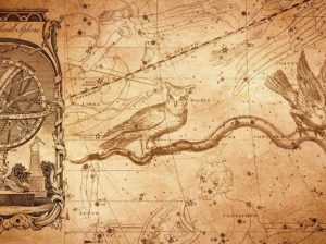 Dr.Sohini Sastri-Astrology-Kalighat