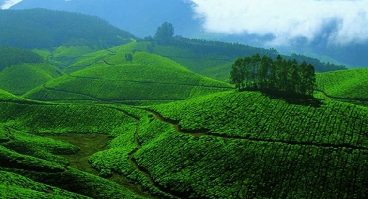 Trip Quickly Tourism – Dumdum – West Bengal