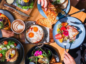 Fiésta Food and Beverages – Shantipur – West Bengal