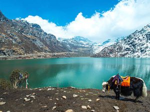 JP & JN Tours And Travels – Garia – Kolkata – West Bengal