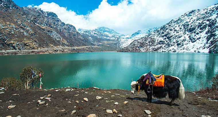 Wings Tours & Travel – Burdwan – West Bengal