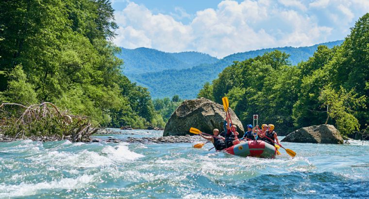 Thakur Tour & Travel – Panihati – Kolkata