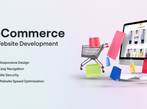 Indian Website Company