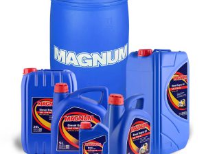 Best Diesel Engine Oil Manufacturers and Suppliers in Dubai, UAE